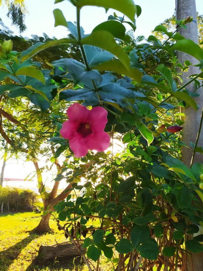 Inn Campos De